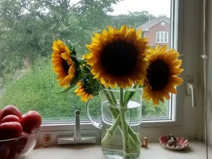 Creating A Pause In Your Day