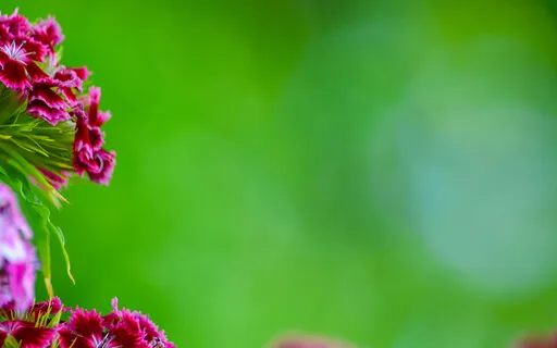 Creating A Playlist That Lifts Our Vibration