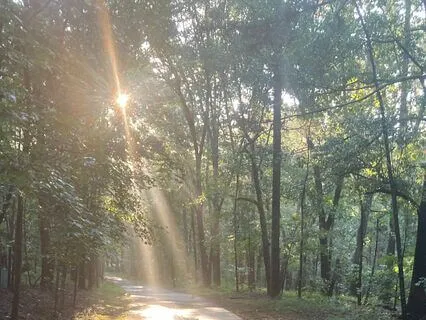 Guided Meditation: "Creating A Protective Shield Of Light"