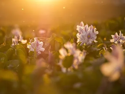 Creating A Safe Haven