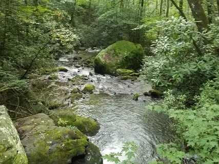 Creating A Safe Space And Calling In Your Supporters