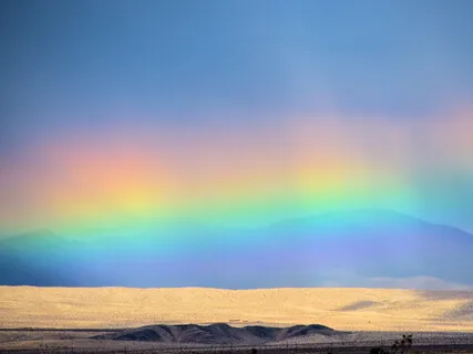 Creating A World That Honours Diversity