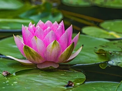 Creating An Abundant Mindset