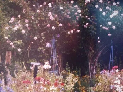 Creating An Inner Garden Meditation Series: 1. Planting