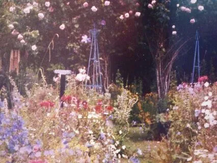 Creating An Inner Garden Meditation Series: 2. Blossoming