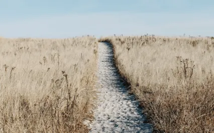 Creating An Inner Refuge From Anxiety & Stress