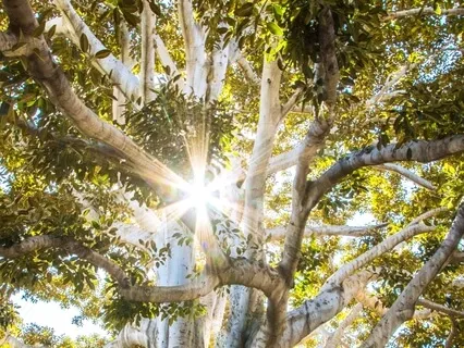 Creating An Inner Sanctuary