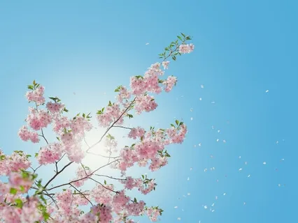 Creating And Cultivating Creativity