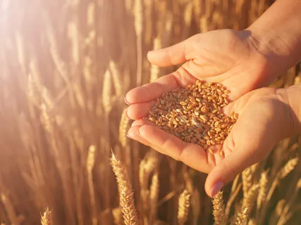 Creating And Feeling Prosperity