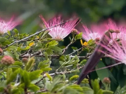 Creating Awareness & Care: Moving Meditation