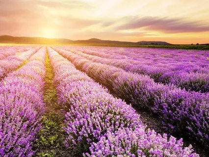 Creating Balance Meditation