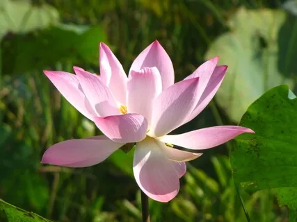 Creating Calm Amidst Uncertainty