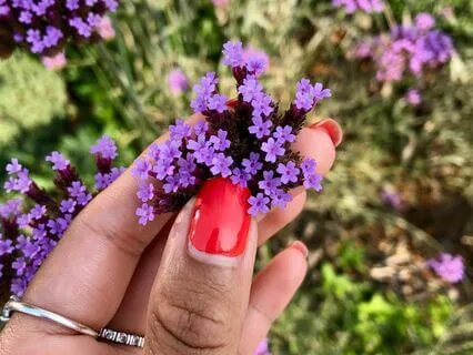 Creating Community By Connecting With Neighbours