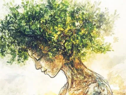 Creating Confidence: Mindfulness Meditation