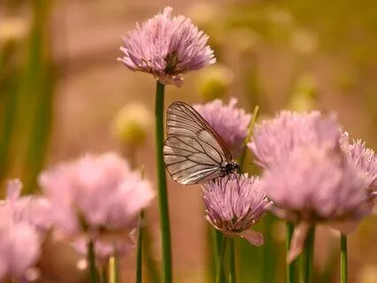 Creating Ease By Listening To Your Body's Preferences