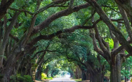 Creating Healthy & Purposeful Boundaries
