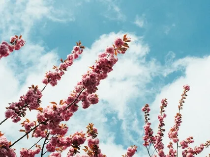 Creating Healthy Boundaries