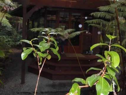 Creating Hope,Love,Peace & Magic On The Big Island Of Hawaii