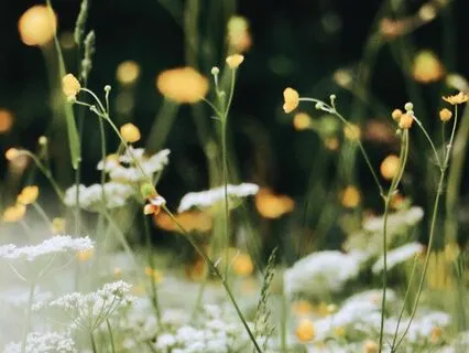 Creating Inner Peace Through Non Judgment