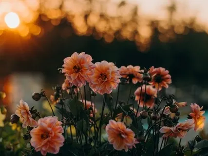 Creating Kindness, When Self-Love Feels Unfamiliar