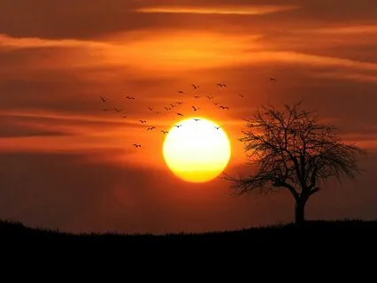 Creating Personal Resiliency