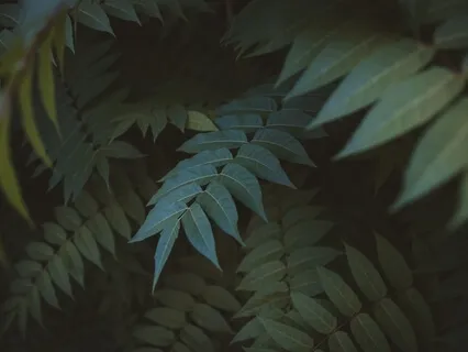 Creating Positive Change During Restful Sleep 