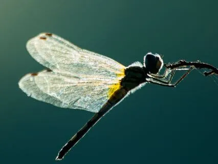 Creating Safety Confidence & Courage