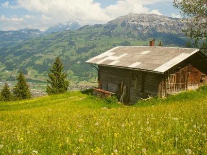 Creating Space: A Practice For Overwhelm