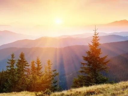 Creating Space For Feelings & Emotions