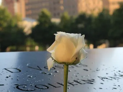 Creating Space For Healing And Embracing Sweetness