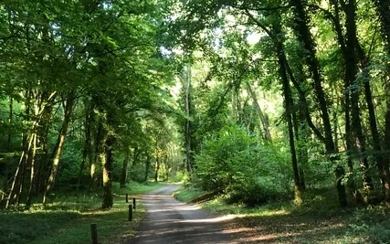 Creating Space For The Authentic Self To Emerge And Blossom