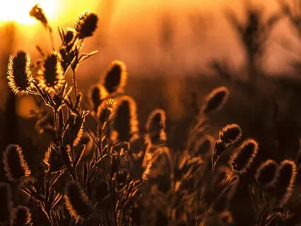 Creating Space in your Heart