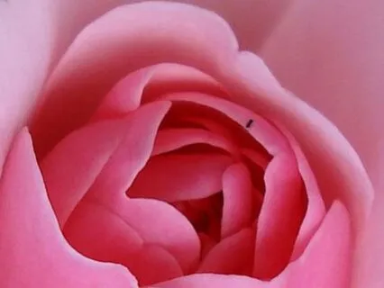 Creating Space: Self-Soothing Practice For Pain & Overwhelm