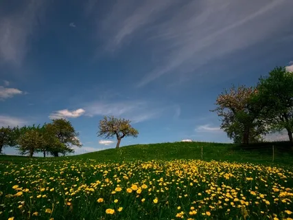 Creating Space Through Gentle Yoga & Mindful Visuals 