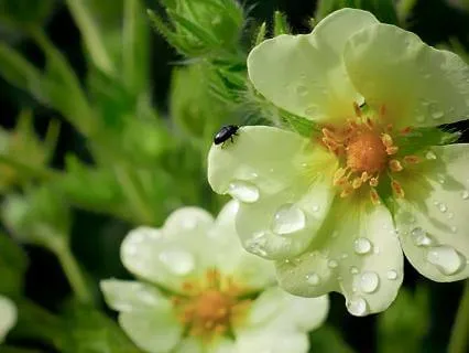 Creating Space To Feel Your Emotions