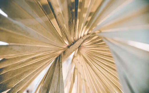 Creating The No-Thing