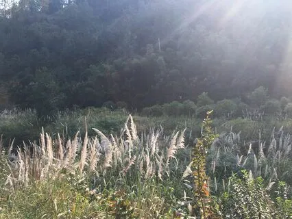 Creating Through Surrender