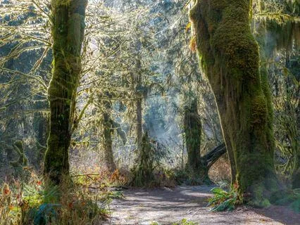 Creating Within - Manifesting Your Most Beautiful Life