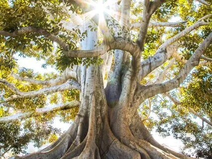 Creating Your Grounding Cord