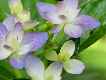 Creating Your Life From Unconditional Love