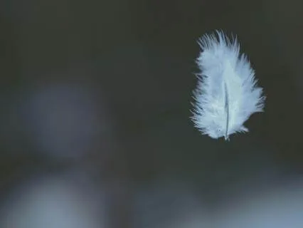 Creating Your Own Inner Sanctuary