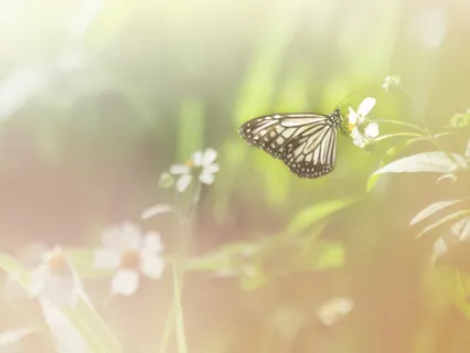 Creating Your Place Of Peace & Contentment