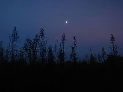 Creating Your Sacred Evening Sanctuary