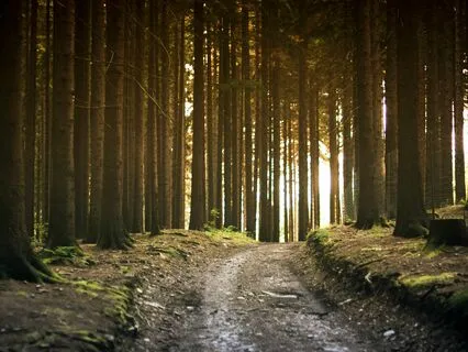 Creating Your Sanctuary Guided Visualization Practice