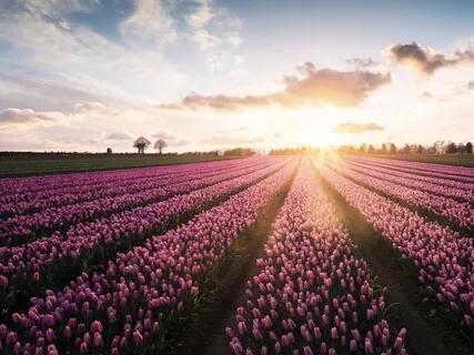 Creation Meditation & Visualization