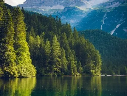 Creation (Solo Piano)