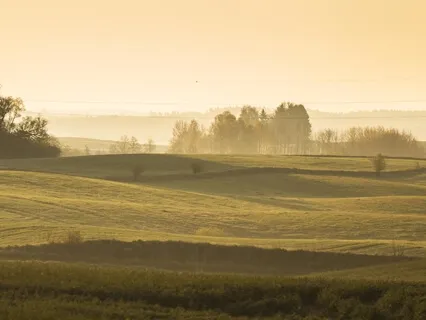 Creation Welcomes The New Day