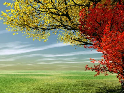 Creative And Effective Sound Force