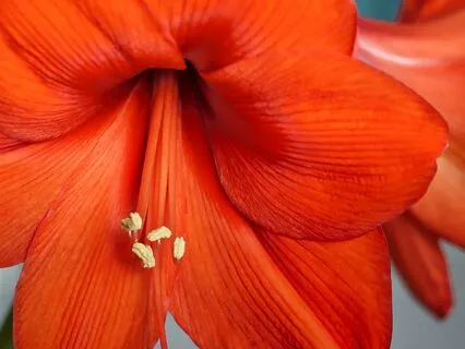 Creative Breakthrough To Transform Ideas Into Action | 10 Hz