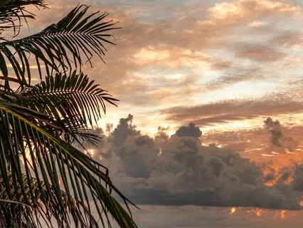 Creative Expression - Why It Matters